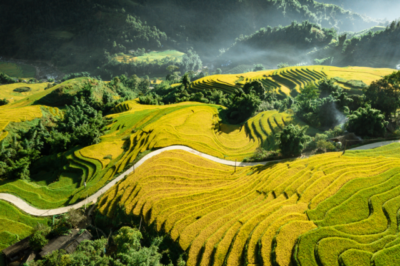 Sapa - Y Linh Ho- Lao Chai- Ta Van - Giang Ta chai- Hanoi 2 days 1 night