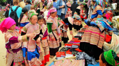 experience pa co market