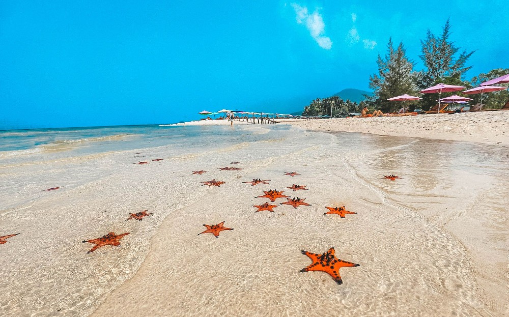 starfish beach indochinatravelgroup