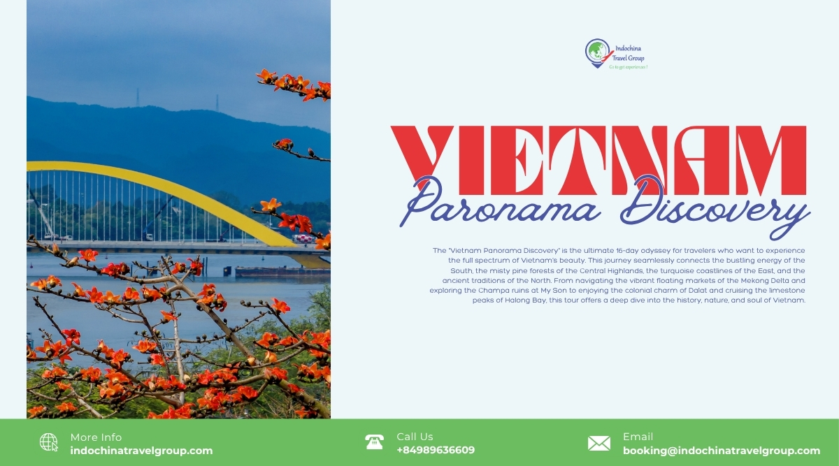 Vietnam Paronama Discovery in 16D15N